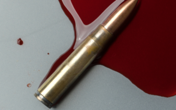 High-Stakes Political Thriller Review: A Gripping Tale of Power, Love, and Betrayal by Suvika